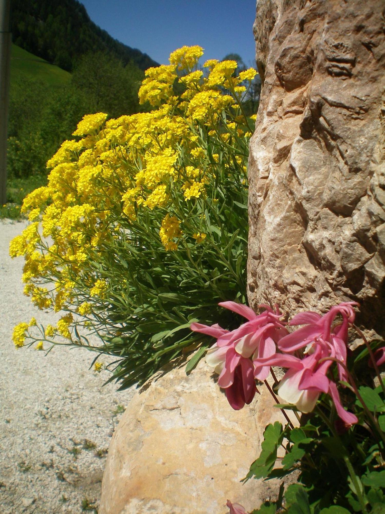 Villa Otto Santa Cristina Val Gardena Exterior foto